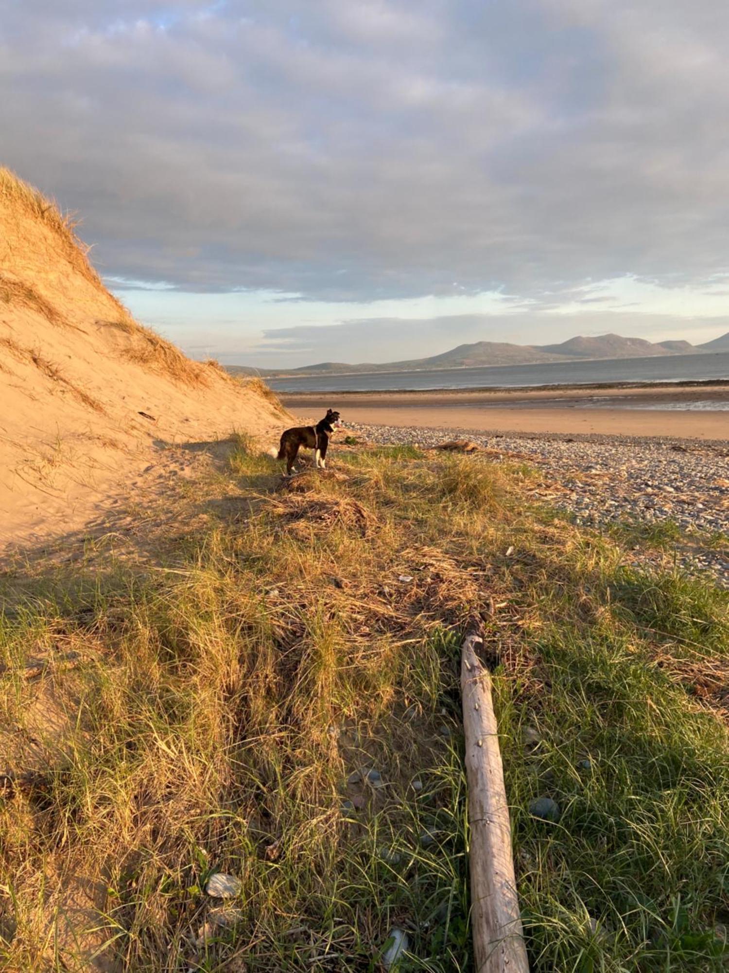 Holiday home Pen Llyn Newborough (Anglesey)